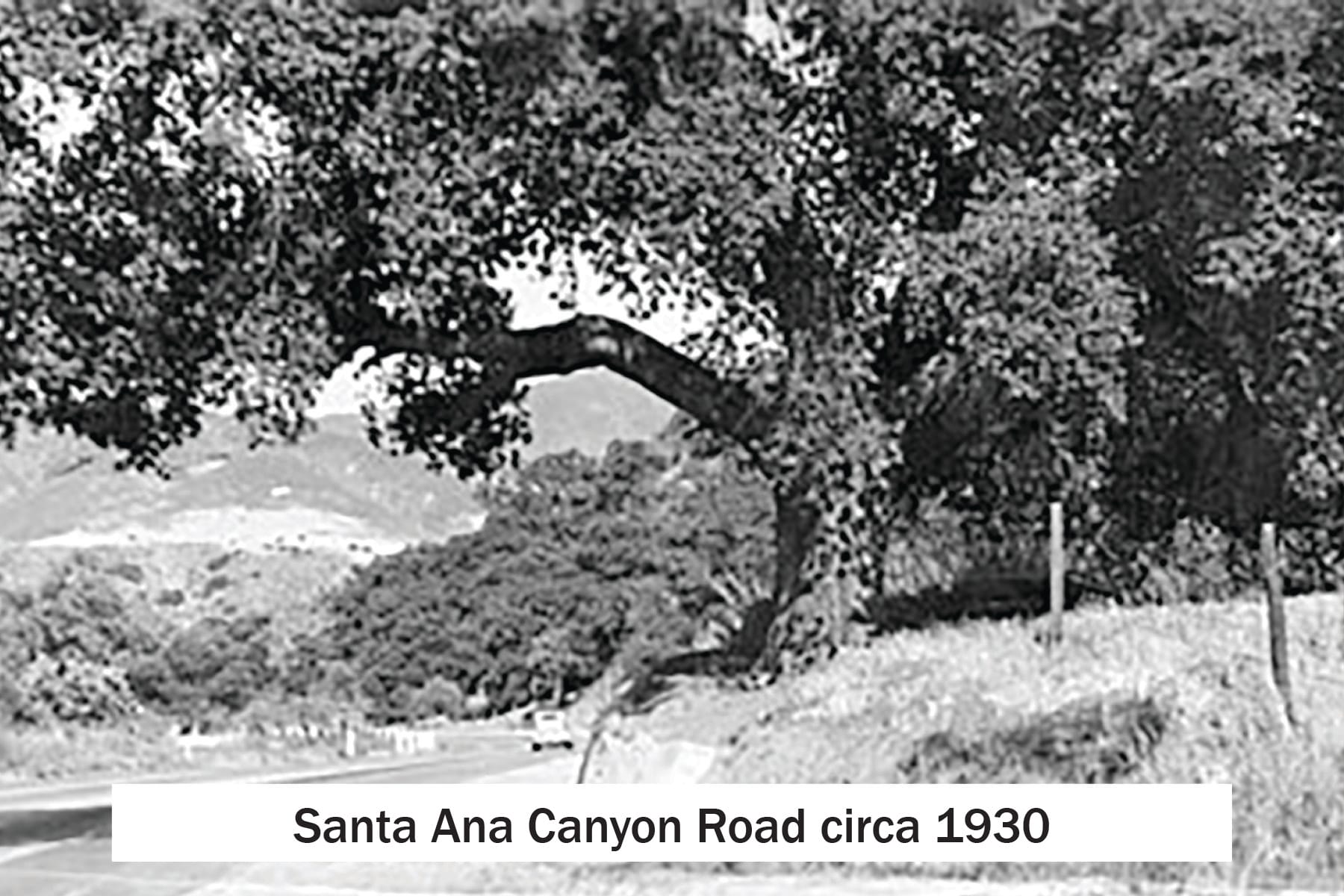 17. Santa Ana Canyon 4x62